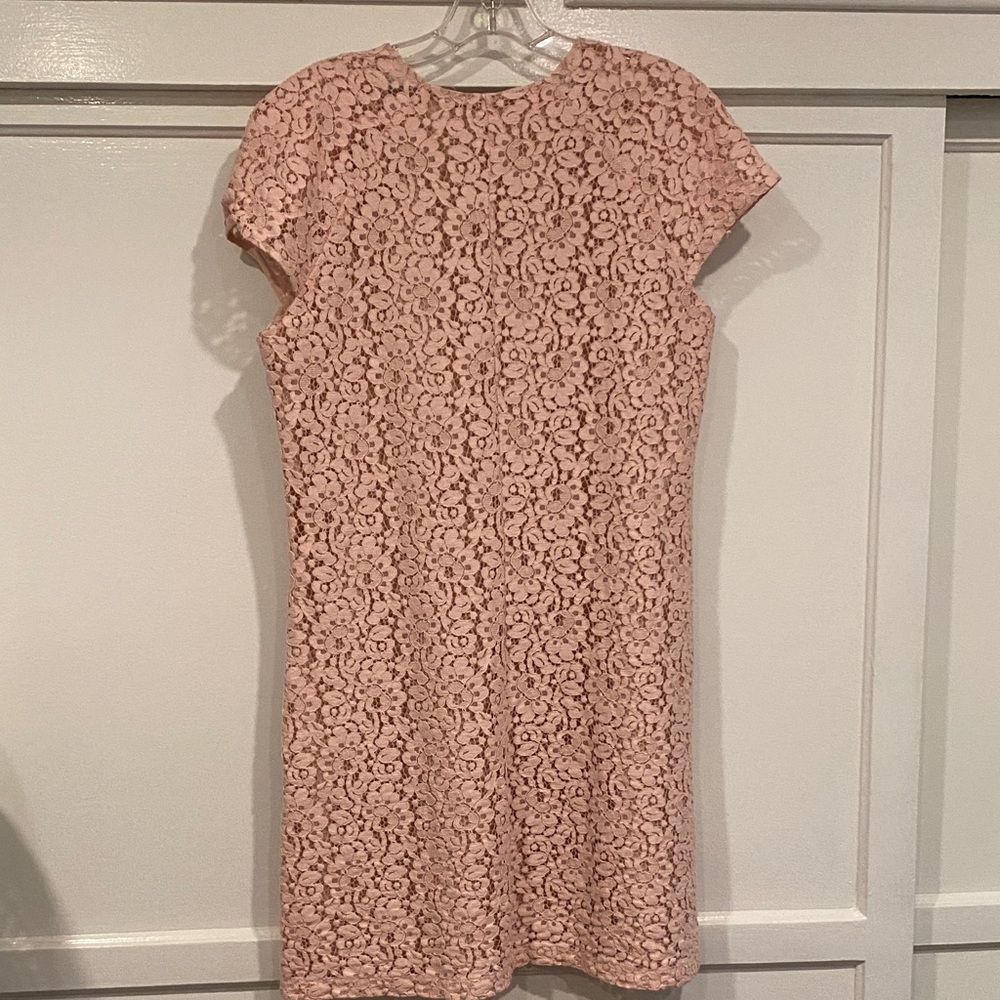 Zara Pink Lace Mini Dress - Picture 6 of 8